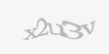 Защитный код