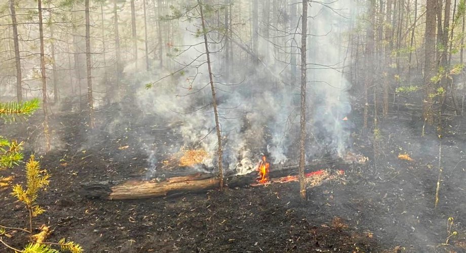 Лесной пожар в Ольхонском районе