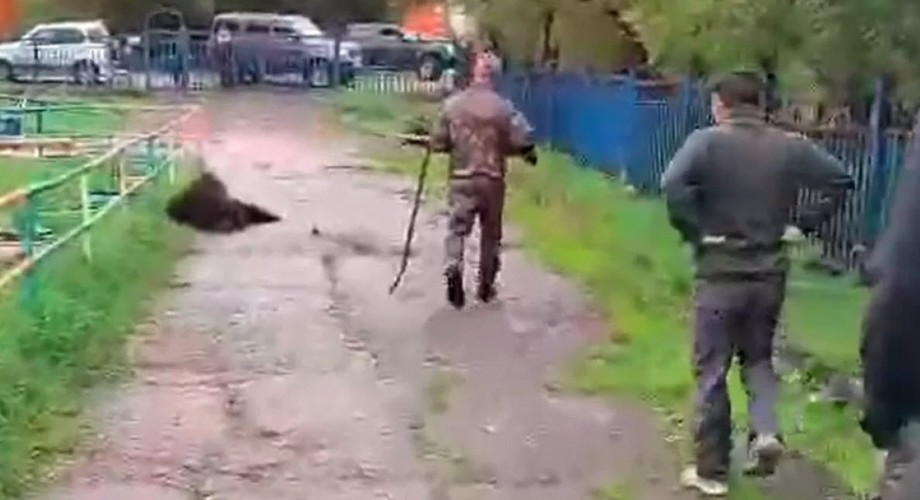 Медведь проник на территорию школы в Палане — хищника ликвидировали